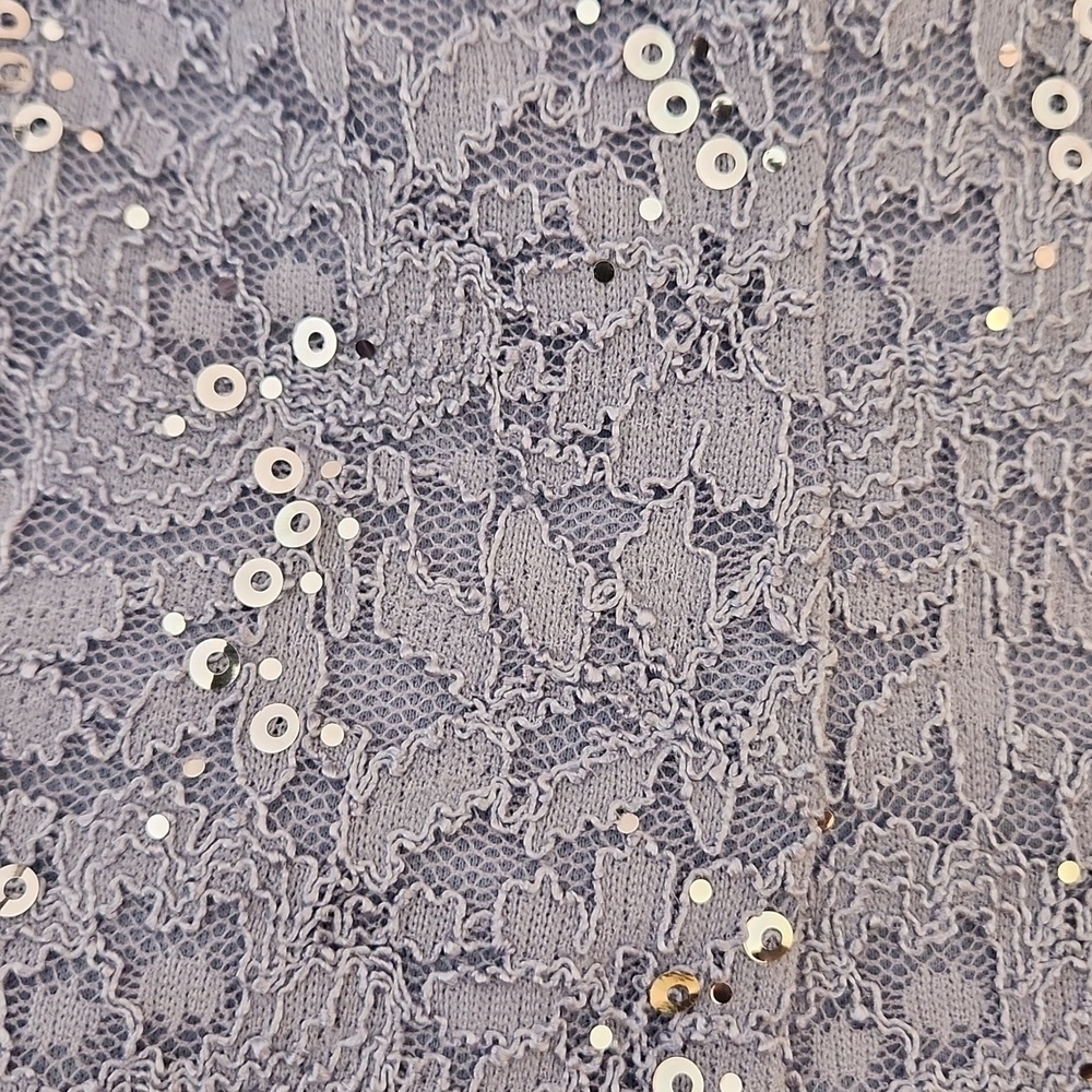 ALEX EVENINGS Long Gown Sequin Lace Bodice & Chifon Skirt, 8P - Picture 14 of 16